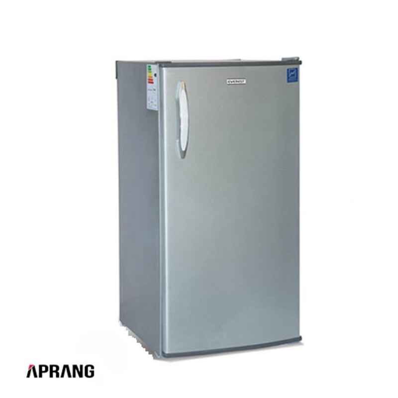یخچال 10 فوت اورست مدل RF – 10 - نقره ای