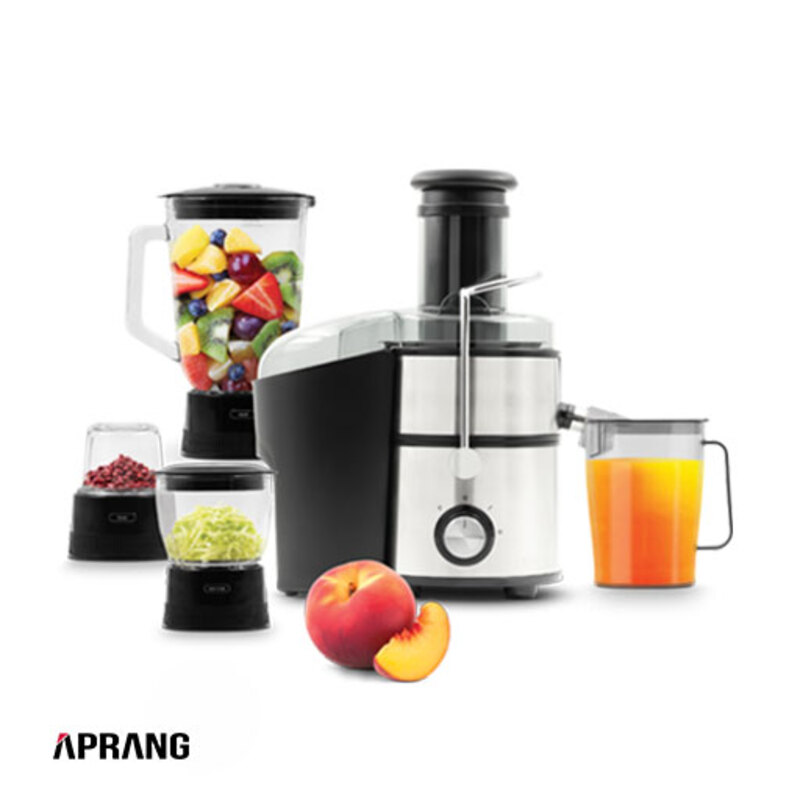 آبمیوه گیری چند کاره پرشیا فرانس مدل PR-1899 - استیل