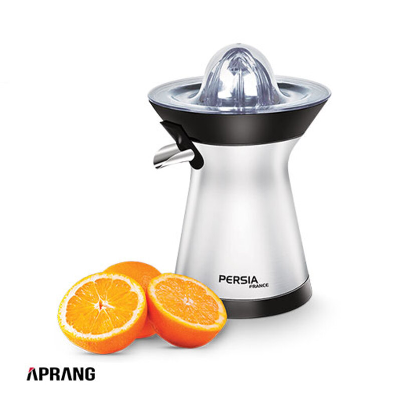 آب مرکبات گیر دیجیتال پرشیا فرانس مدل PR-217 - استیل