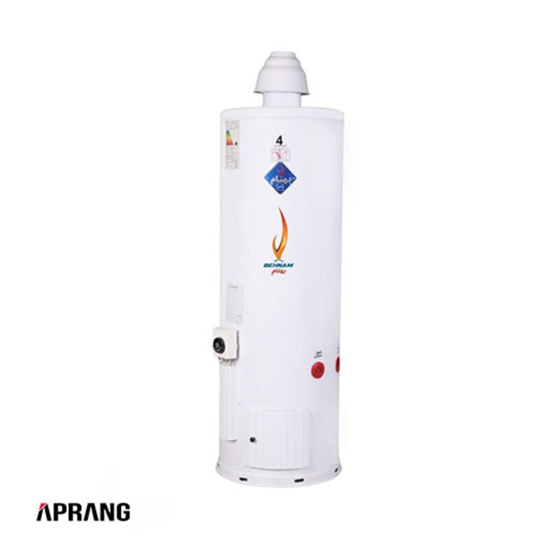 آبگرمکن گازی شرکت الکترو صنعت صاف مدل GP453 - 2.5 میل
